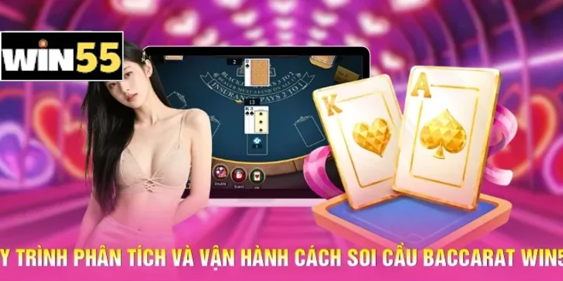 Quy trình phân tích và vận hành cách soi cầu Baccarat Win55