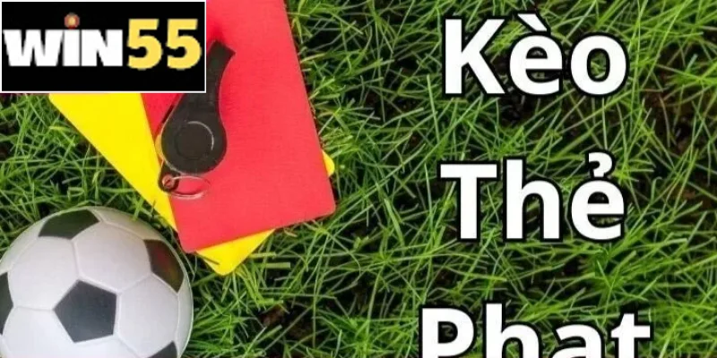 Phân loại chi tiết theo cách tính, dự đoán, tỷ lệ cược